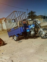 ستوته • رقم اصليه • الديوانيه
