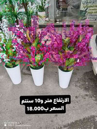 فلوجه • مستلزمات مطبخ • توصيل