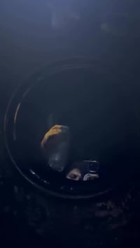 المنتوجات المتوفرة من معملنا  (( مباشرة )) :  #أصفر  🟡  #احمر  🔴   الك...