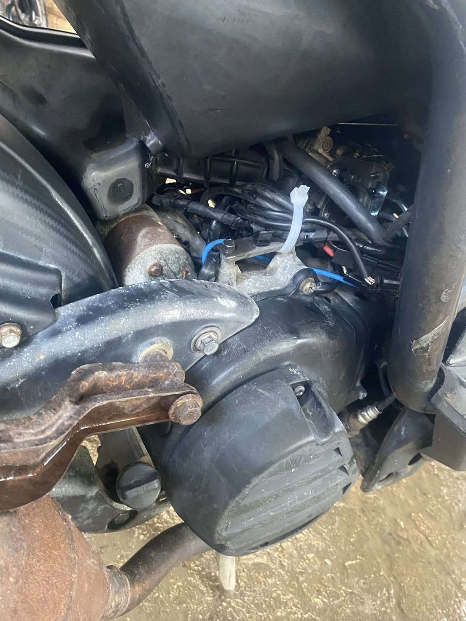 سكنس جبلي موديل2010 
ماشيه 28 الف حقيقي صالنصه صجميه بلاديه وياها اجت 
بلاديه مكفوله كفاله عامه ماناقصها شي نكره كل وكت مكينه بلاد سعره (مليون و200) وبيها مجال 
مكان بغداد زعفرانيه جسر ديالى القديم 
استفسار اتصال (***********)
