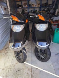 سبيسي ياباني • قطع قليلة • كوت تموز