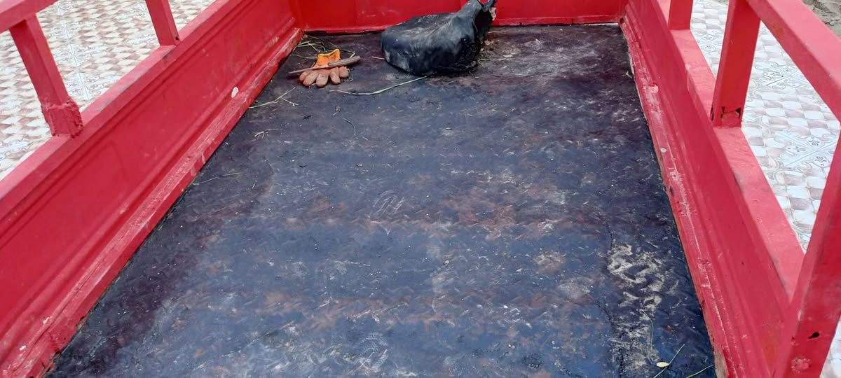 ستوته mtr ادوات مكفوله من السرقة شاصي مكفول ستوته نضيفه شوفت عينك لاتبخير ولاتنقيص كهربائيات كامله لايت نشرات السعر 450وبيها مجال الشراي مكاني القرنه العلوه قرب الطاحونه ***********واتساب واتصال
