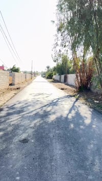 المدائن التويثة • ٢٥٠٠م • ملك صرف