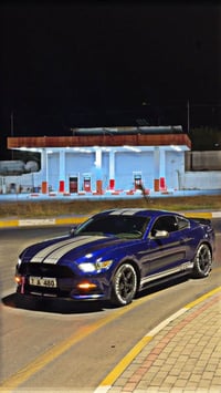 موستانغ • ٢٠١٥ • رقم أربيل