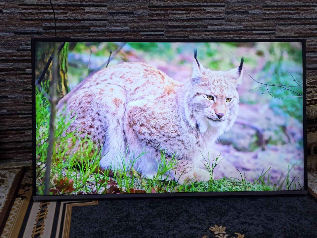 بلازمه وادي حجم 50 سمارت انترنت سعرها 225 وبيه مجال مكاني بغداد بالعبيدي ***********
