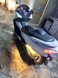 فورزة • ورقه • ترايك