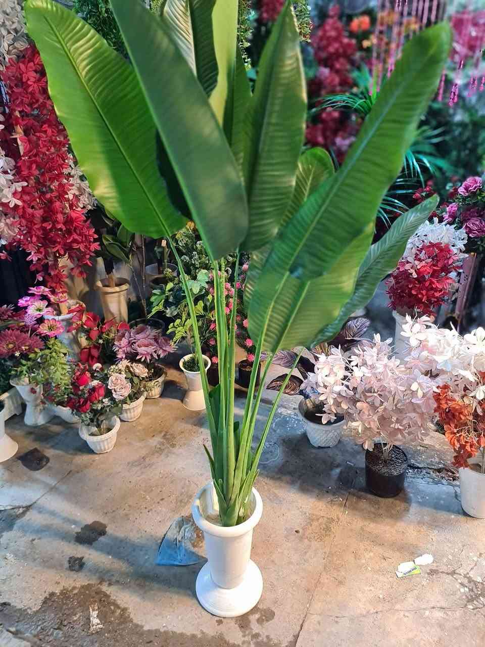 اطول مترتين ٢٠ cm

سعر ٣٥ الف💵

وتوصيل مجاني داخل الحريه وا مناطق مجاوره 🚚

وا يوجد تجهيز حسب الطلب *********** واتساب
