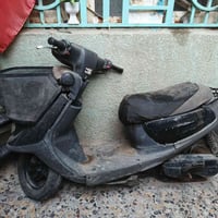 منغولي • نضيفه • شغاله