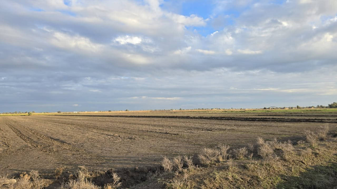 انته صحاب استثمار او تريد تترفه
وصلت عند الشخص الصح جايبلك 5 دوانم وتباع مفرد حسب الطلب موقعهه مرتب ومخدوم من كل النواحي ماء وكهرباء وصب اروائي ومزارع وخضار وسكن طابو سند 25 فتح بيان بأسم المشتري حق التصرف 
واجهية الدونم الواحد 40×60 مربع سعر الدونم الواحد 32 مليون وقابل للتفاوض 
العنوان بغداد التاجي ذراع دجله 
للأستفسار ***********
