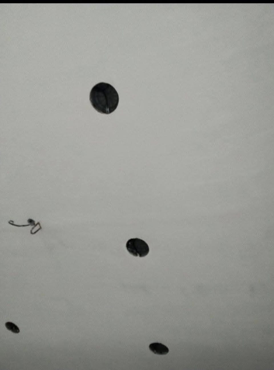 سلام عليكم اني خلفه امبيضجي جص وبورك متفرغ شغل درجة اولى أن شاء الله من بغداد متفرغ ***********
