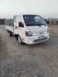 كيا حمل • ٢٠٢٤ • رقم صلاح الدين