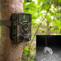 كامرة حيوانات • عدد اثنين • توصيل