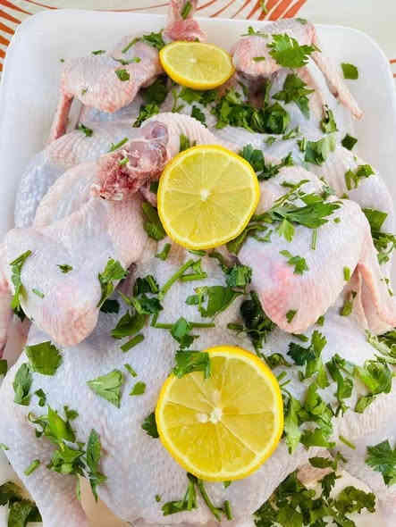 اللهم صل ع محمد وآل محمد
تريد دجاج عراقي 💯% .. 
تدور ع الطعم والنكهه والنظافة. 
ذبح صحيح وع الطريقه الاسلاميه 💯% . 
محلات احمد العامري للدجاج توفر لك كل ما تريد. 
العنوان / المحموديه حي العسكري شارع النهر مقابل مكتب النور
مستعدون لتجهيز كافة المناسبات والمطاعم 
وبأنسب الأسعار للتواصل على الأرقام/ 
((***********)) ☎️
 ((***********)) ☎️
وتوجد خدمه توصيل داخل المحموديه
