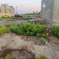 بلسريدات • ١٠٠م • واجهة ٥