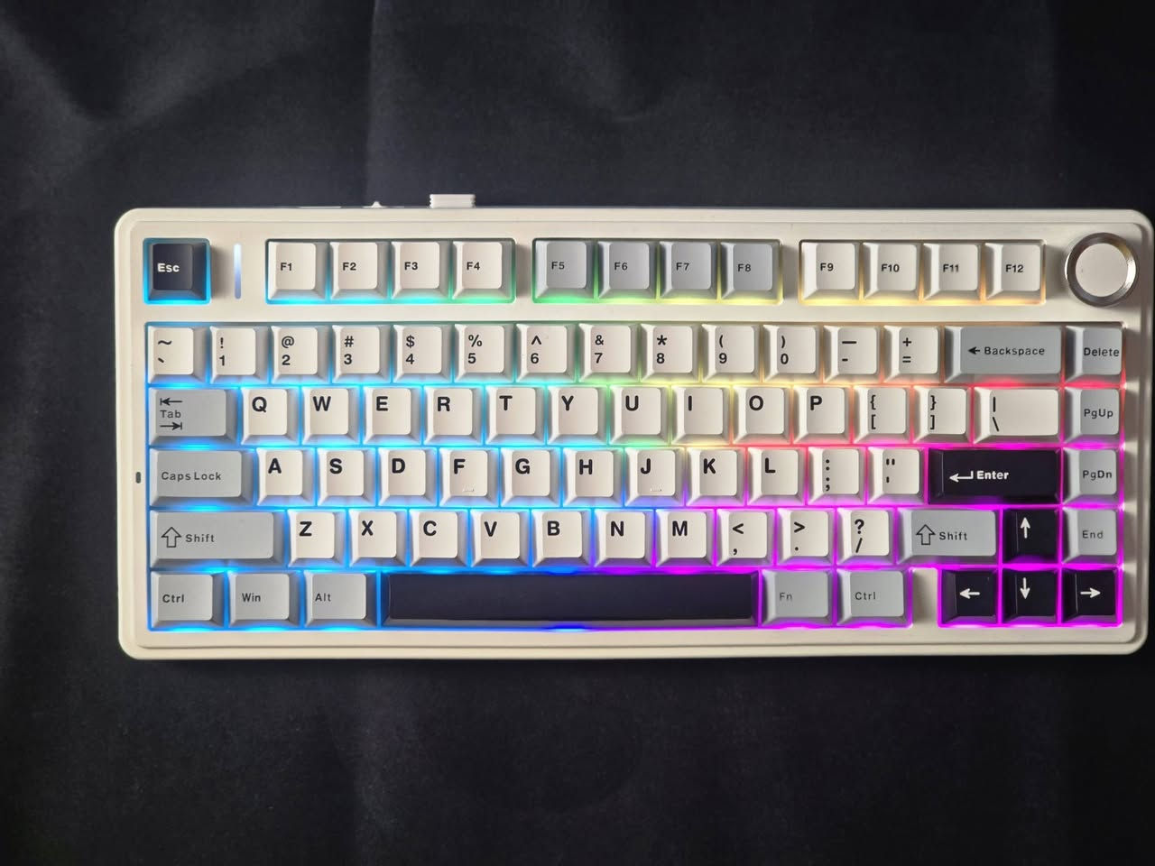 يا الله 

تكملة عروض العيد 

كيبورد AULA F75 من اقوى الكيبوردات الي بالسوك 
كيبورد جدا راقي و نضيف و اي خلل مابي ( اوبن بوكس ) 
كل ملحقاتة يجون ويا يشتغل 
1_ USB C
2_ BT
3_ 2.4 G

سعرة قبل العرض ٧٠ الف ❌️ 
سعرة بعد العرض 45 الف ✔️ 
و اذا تلكة نفس نضافتة بهيج سعر تعال عاتبني 

توصيل مجاني جميع محافضات العراق 🚚

للاستفسار اكثر خاص او واتساب هذا رقمي 👇
                                        ***********
