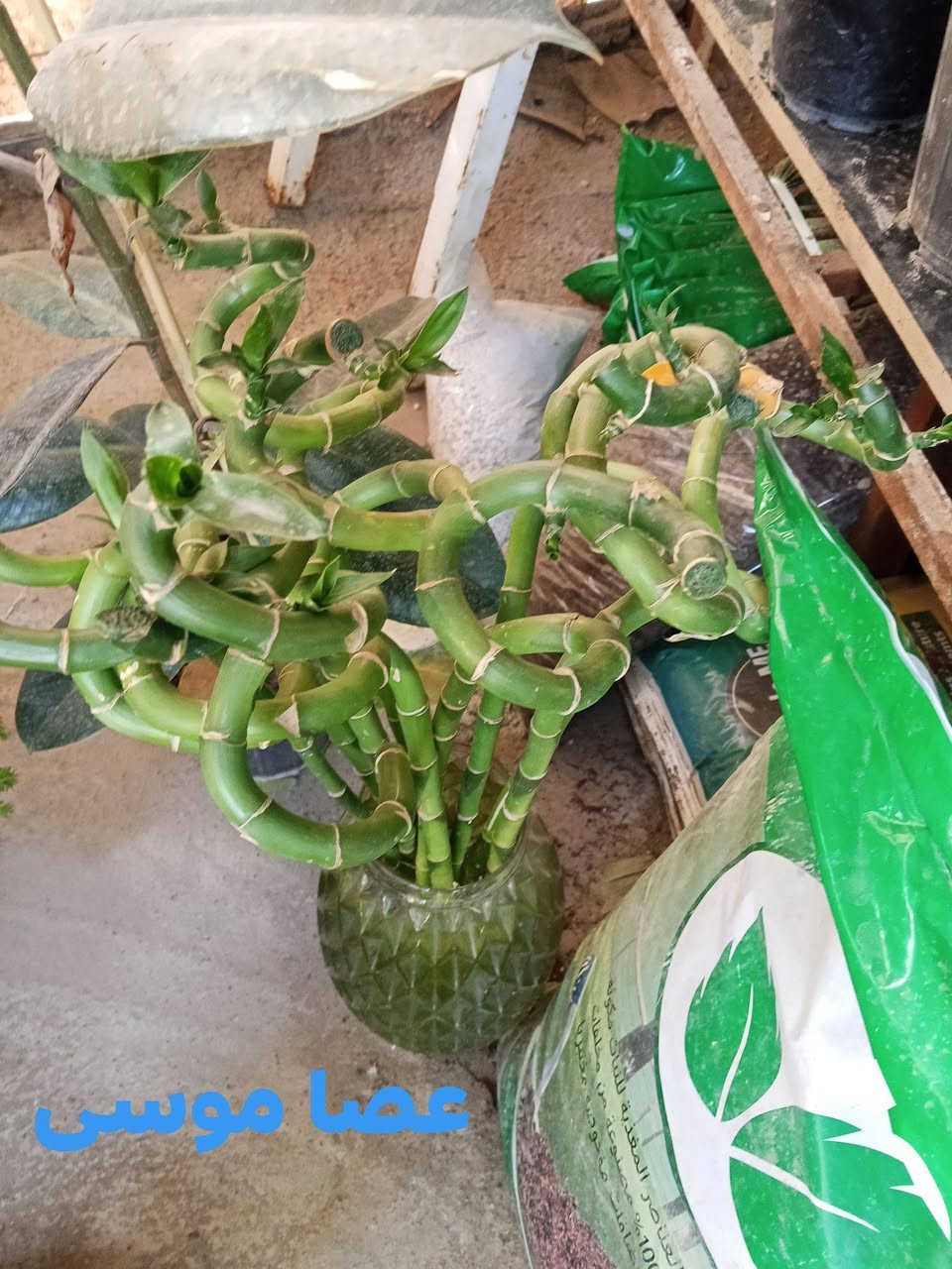 يا الله


**إذا كنت صاحب هذا الإعلان وتريد حذفه لأي سبب، رجاءا أرسل رسالة إلى الدعم الفني**