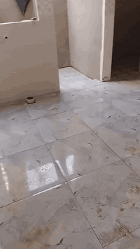 اسطه سيراميك درجه اولى شغل يعجبك سيراميك كاشي درج مرمر خابرني وتدلل 07...