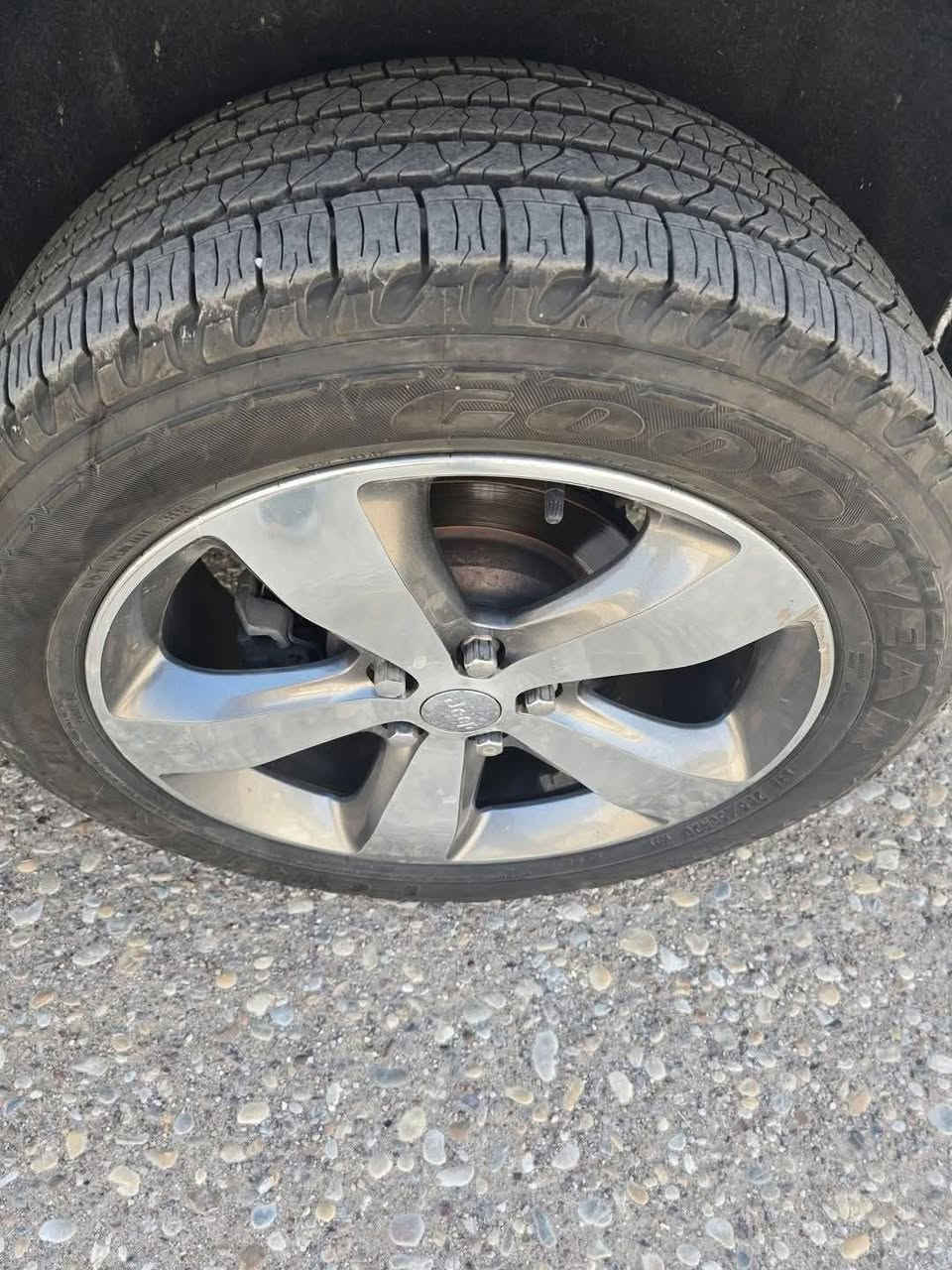 تخم ويل٢٠مكفول تخم تاير كودير نظافه ١٠٠% واتساب فقط ***********
