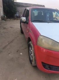 كريت • ٢٠١١ • السماوه الهلال