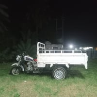 ستوته • موديل ١٥ • كرمه بني سعيد