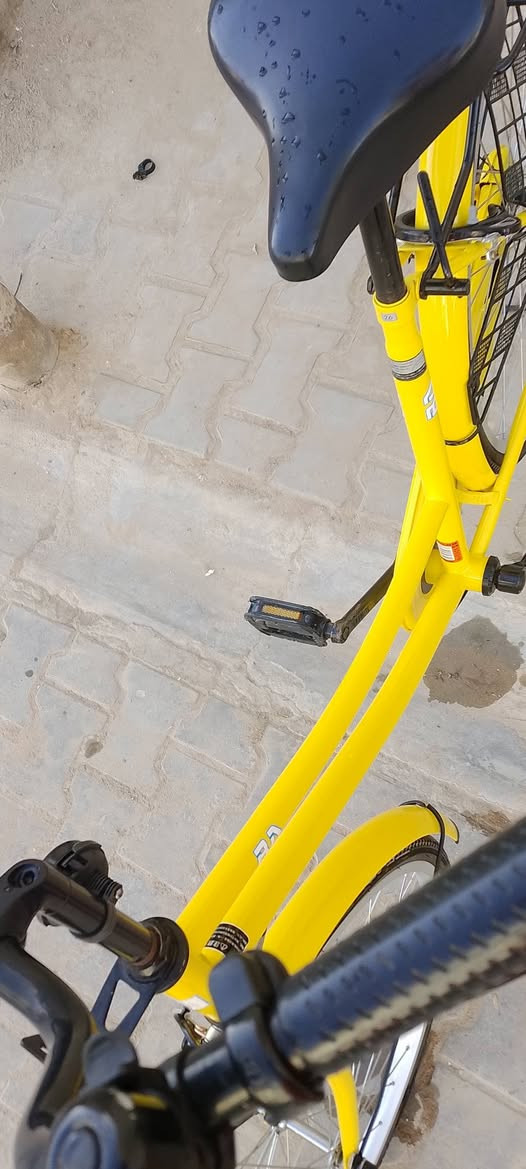سلام عليكم شباب باسكل للبيع حاويه نضيف مديل 22سعره140وبي مجال قليل مكان نجف حي الجمعيه


**إذا كنت صاحب هذا الإعلان وتريد حذفه لأي سبب، رجاءا أرسل رسالة إلى الدعم الفني**