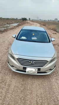 ٢٠١٧ • وارد كوري • رقم اربيل