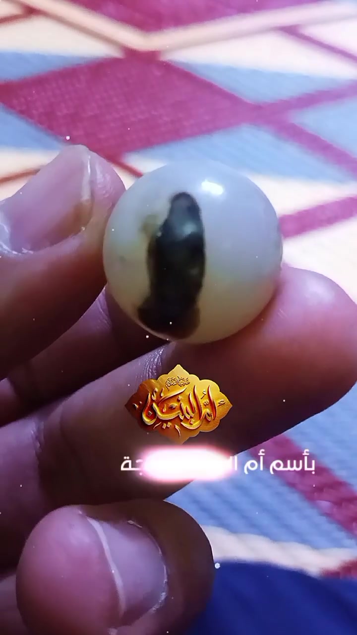 اللهم صل وسلم على محمد وآل محمد الطيبين الطاهرين 
عقيق يماني طبيعي حجر كامله مصور واضحه


**إذا كنت صاحب هذا الإعلان وتريد حذفه لأي سبب، رجاءا أرسل رسالة إلى الدعم الفني**