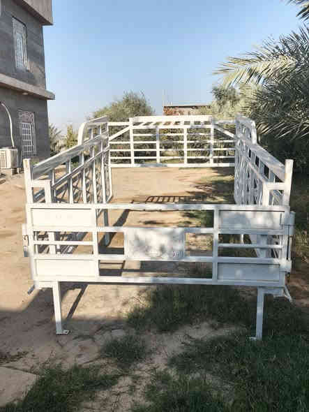 محجل كيه نظيف للبيع السعر 600وبي مجال للأستفسار ألاتصال ع ***********/ ***********
