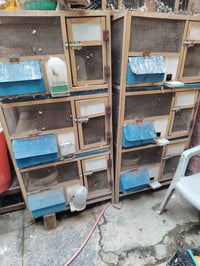 ٣ اقفاص كل قفص بيه ٣ خانات وجررات تنظيف كلهن ب١٢٥ وبيهن مجال بغداد الب...