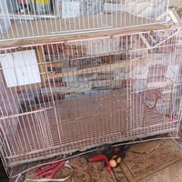 خانات حديد • اثنين • بعقوبة التحرير