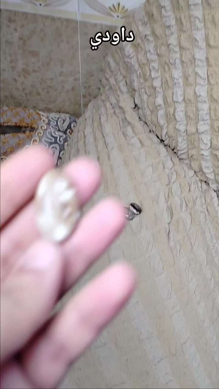 داودي التفاصيل داخل الفيديو


**إذا كنت صاحب هذا الإعلان وتريد حذفه لأي سبب، رجاءا أرسل رسالة إلى الدعم الفني**