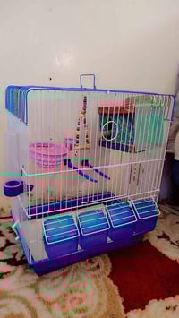 قفص طيور • ملحقات • بغداد