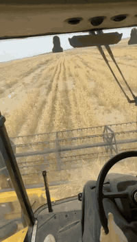 للبيع حاصدة موديل 2020/40/50 فول مواصفات مكفولة كفاله عامة بسمي تحويل ثاني يوم سعر  اتصال ‏‪***********‬‏ حجي عبدالله حسين البديري
