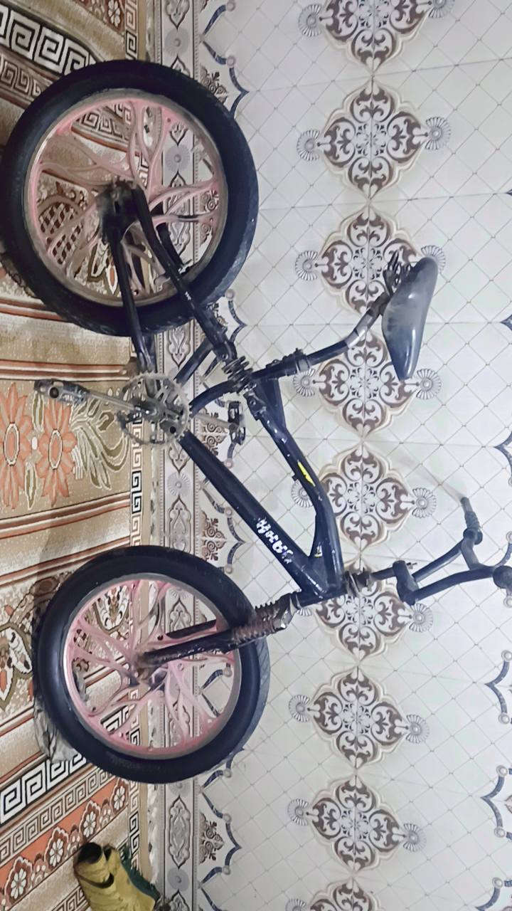 باسكل كوبره نقص بس زنجيل سعر 35 رقم ***********
