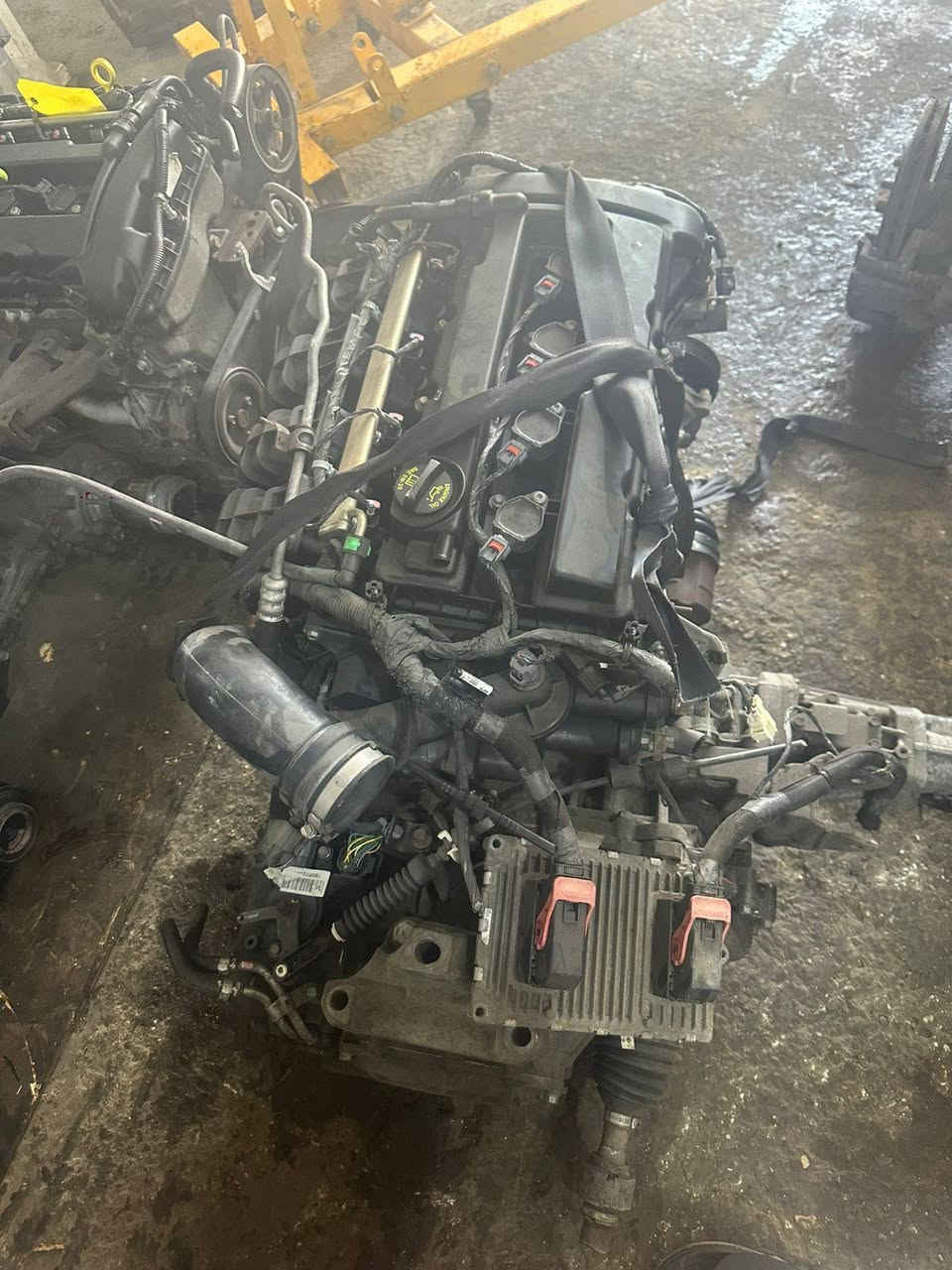 على بركة الله تم وصول  محركات 3600  جورني كرفان 
محركات 2400 كومباس باتريوت رنكد C200 جورني افنجركليبر كافة الموديلات 
محركات اكاديا ترفرس  من 2008الى 2020
كير عصا وهيمي ومارسيدس 
كير جورني وافنجر 2400
كير باتريوت دارت C200
مشط جورني باتريوت كومباس افنجر
اكسنات جارجر اوباما 2010 /2011/2016
كاردنات جارجر اوباما 
دبات ماء تفصيخ وجديد
قواعد فيوزات وعقول  كافة الموديلات 
جوزات مع بصمات تشغيل 2010  
جوزات بريك اوباما جارجر 2010
سيطرات جام تفصيخ وجديد من 2008 الى 2022 حارجر اوباما 
ضفاير محرك
تانكي بانزين اوباما جارجر دورنكو 
عبوات فيت بم ومساعد اوباما جارجر جيب تفصيخ وجديد 
قفل ابواب  وجنطه اوباما جارجر كافة الموديلات 
الديوانية الحي الصناعي 
*********** /*********** واتساب
