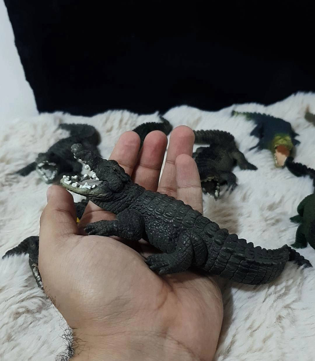 متوفر مجموعة تماسيح 
جميع القطع شلايش 🌱🤍


**إذا كنت صاحب هذا الإعلان وتريد حذفه لأي سبب، رجاءا أرسل رسالة إلى الدعم الفني**