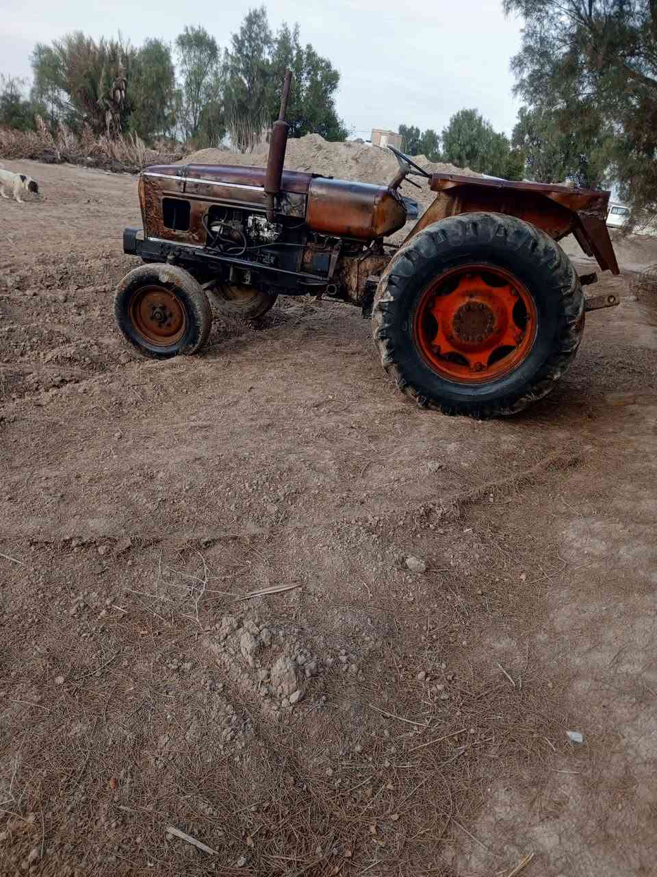 عنتر للبيع مكفوله 87 بيع مستعجل مكلف بالنشر *********** مكينه بلاديه
