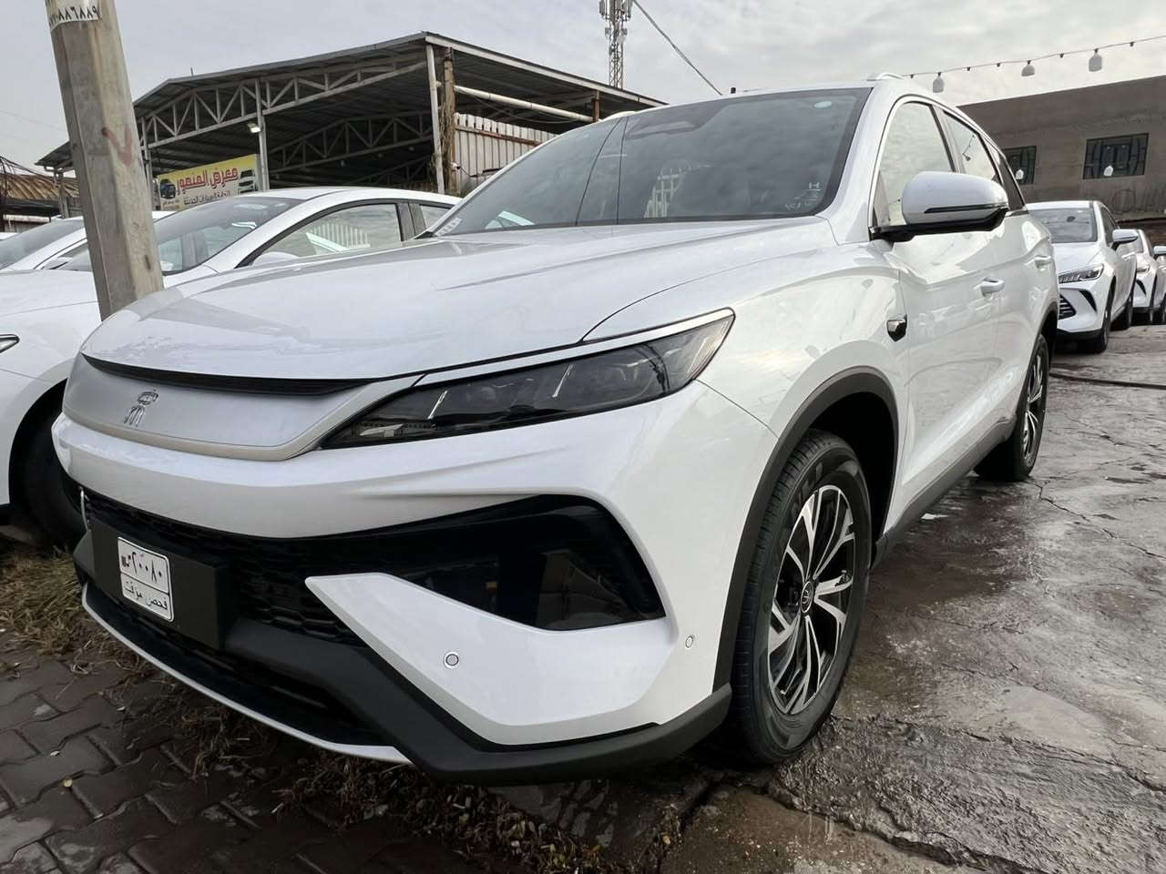 سونك برو 2025 
13 كامرة 
داخل جلد زيتوني 
كرسي كهرباء 
معرض القمة 
بغداد الكريعات 
استفسار اكثر اتصل 
***********
