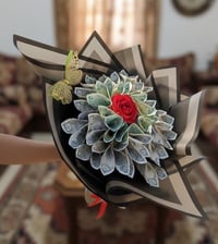 كاش • للبيع