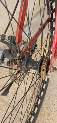 دراجة • فوكس • النجف