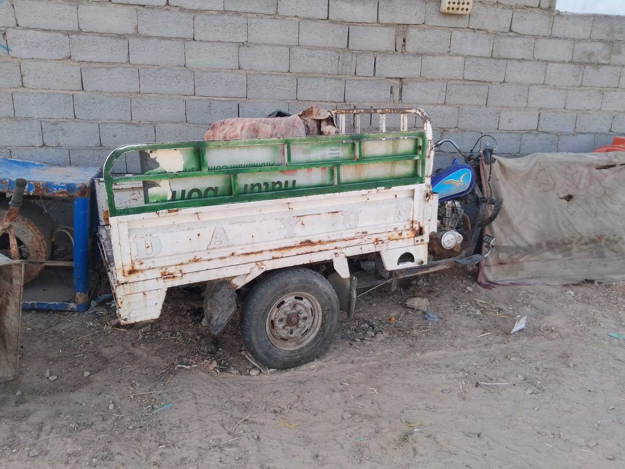 السلام عليكم ستوته للبيع دايون شغاله  عوزة ترتيب رقم اسود سنويه صاقطه مكان نجف الحيدريه شراي يتصل مكلف بنشر ***********
