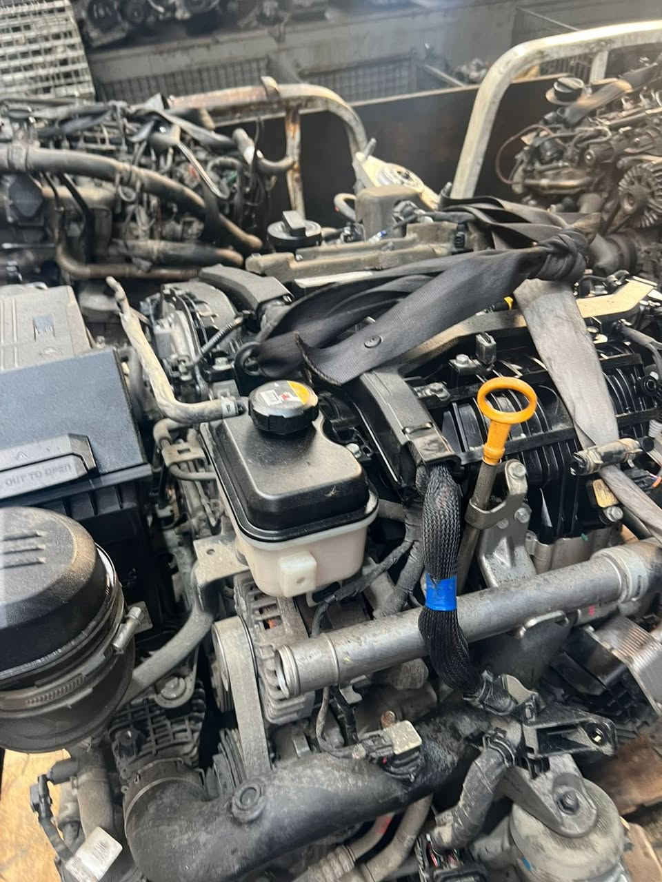 يالله تم كص جنسيس كهرباء موديل ٢٠٢٤تم كص جنسيس موديل ٢٠١٧ تم توفير محركات جنسيس موديل ٢٠٠٩لحد موديل ٢٠٢٥ 
العنوان ديوانيه التقيه ثالثه على طريق النجف مقابل بانزين خانه القصواء مجمع بشار البديري 
زيودي البديري ***********
زيودي ***********
***********زيودي
