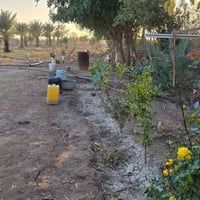 مزرعة ٤ دوانم • سند ٢٥ • خلف مطعم واثق