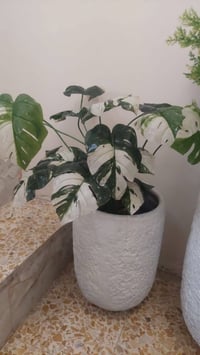 ديكور • حديقة