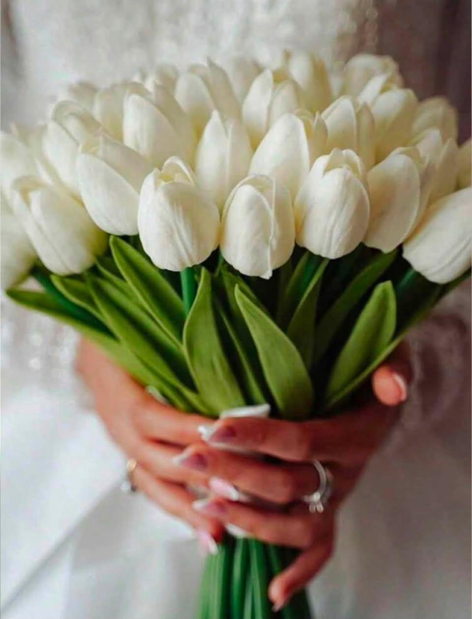 متوفرات للحجز❤️


**إذا كنت صاحب هذا الإعلان وتريد حذفه لأي سبب، رجاءا أرسل رسالة إلى الدعم الفني**