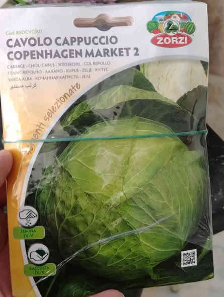 زبائننا الكرام...
أصحاب هواية الزراعة المنزلية..
توفرت بذور ورد وابصال
و بذور  خضرارات
و بذور ثيل 
للحجز والاستفسار يرجي مراسلة الصفحة
يوجد توصيل لجميع المحافظات🚘

*********** واتساب
