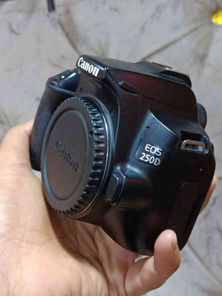 كانون 250d
دقته 24.3 ميكابكسل 
فيديو 4k جوده وضوح عالي 
ميزة تتبع الوجه فوكس سريع
اتصال واي فاي و بلوتوث 
السعر 550
مكاني كربلاء 
واتساب ***********
