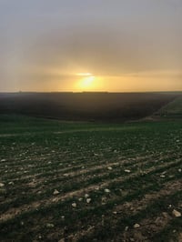 قوسيات • أرض ٦٢٥م • سند ٢٥ أبيض