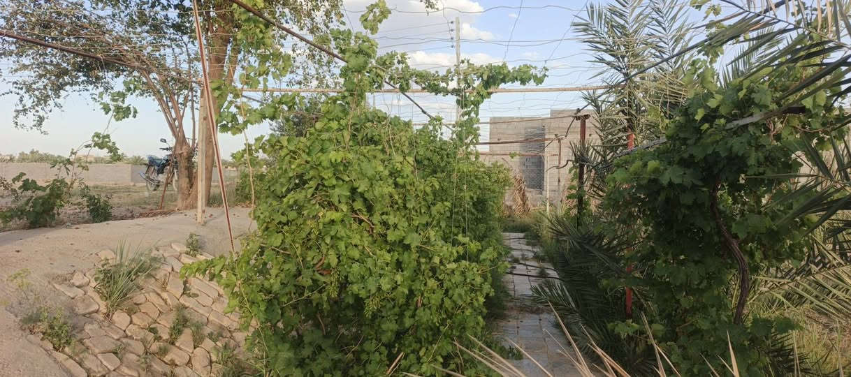 سلام عليكم بيت كامل منه غرف عدد2 و الحمام و الباغي  بعده و جواه ارض اكثر من دونم و نصف طابو زراعي سند 25 ماء جواه و كهرباء فوكاه و سكن موقع حلو و 
مرتب للستفسار *********** موجود واتساب 
سعره مناسب جدا
