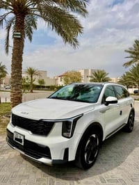 سورنتو • ٢٠٢٤ • رقم اربيل